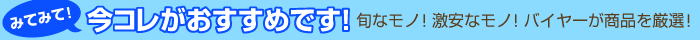 みてみて!今コレがおすすめです!